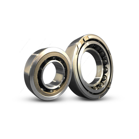 Customized Bearing