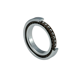 Miniature Silent Bearing